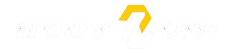 Body-vip — logo