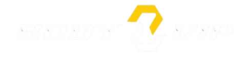 Body-vip — logo